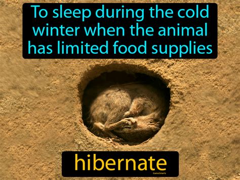 hibernation in tagalog|HIBERNATE Meaning in Tagalog .